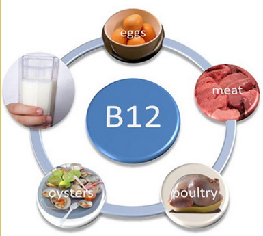 vitamin-B12-sources